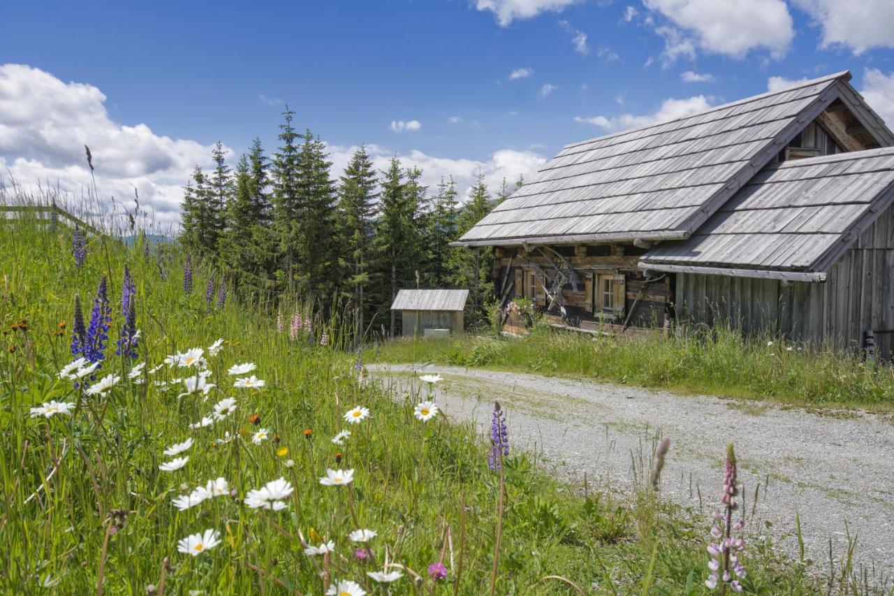 Huettentraum Katschberg Katschberghöhe Cameră foto